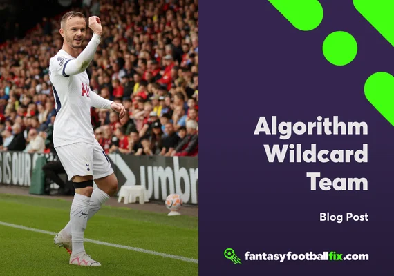 FPL Gameweek 8: Algorithm Wildcard Team