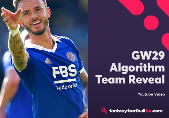 The Best Fantasy Premier League (FPL) Free Hit Team For Double Gameweek 29.