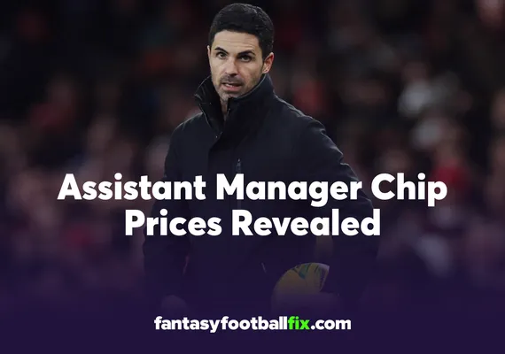 FPL Assistant Manager chip