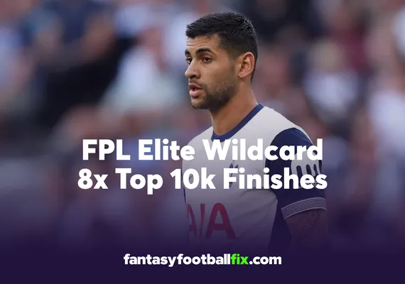 FPL Wildcard