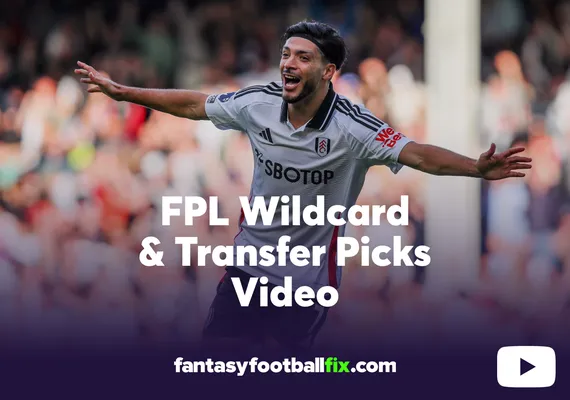 FPL transfers and wildcard